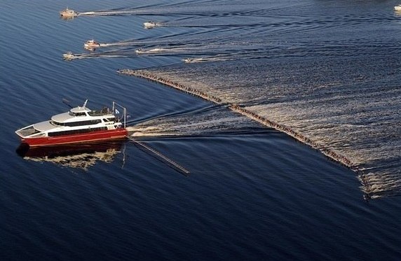 145 человек на водных лыжах.