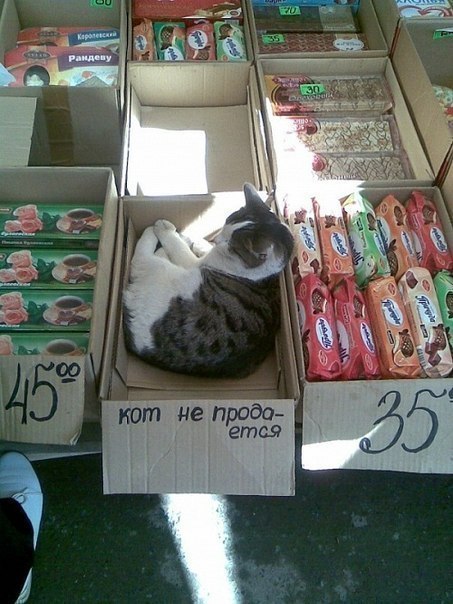 А жаль...