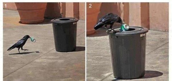 А некоторые люди так и не могут научиться...