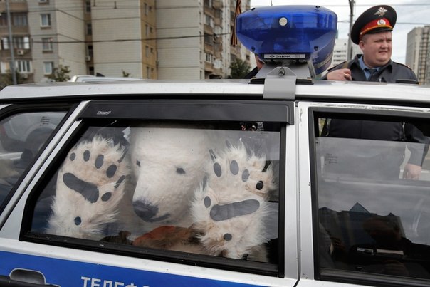 Активист природоохранной организации Greenpeace, Москва. Росси