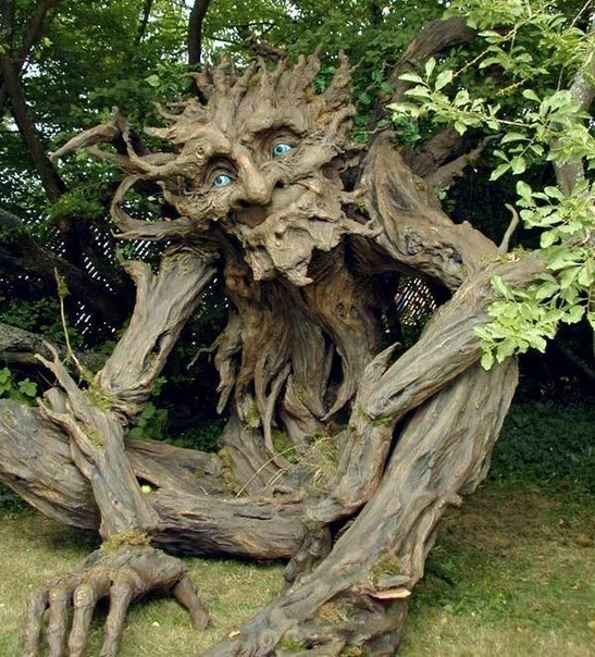 Carvings on a treeby Kim Graham