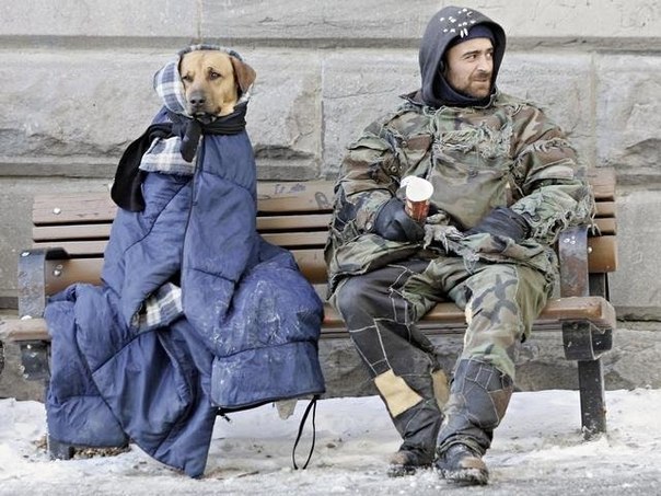 Дари добро.