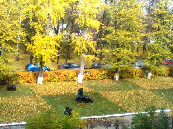 Дворник балуется