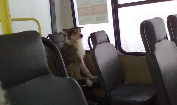 Фото трогает.