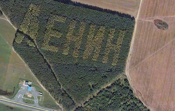 Гигантская надпись “Ленин”, созданная из посаженных лист