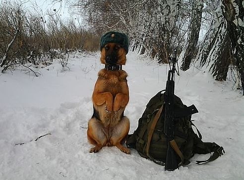 Граница на замке,спите спокойно.