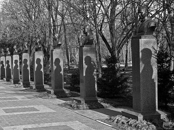 Каждое утро и вечер в белгородском городском парке появля