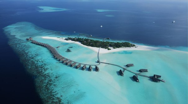 Мальдивы. Отель Cocoa Island Resort.