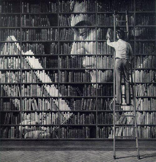 Портрет из книг.