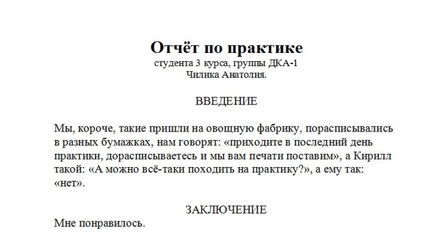 Самый честный отчёт по практике