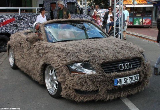 Шерстяной.