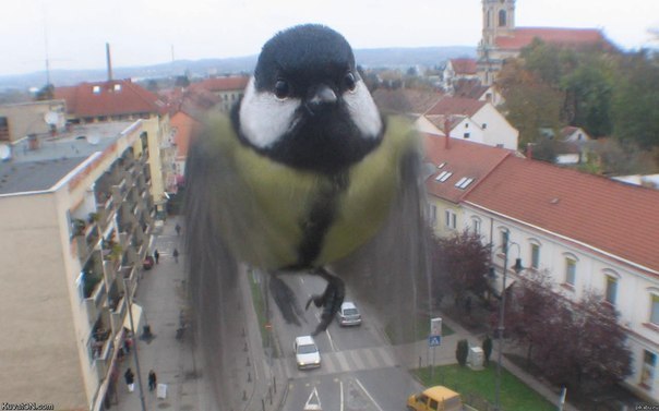 Вот это кадр!