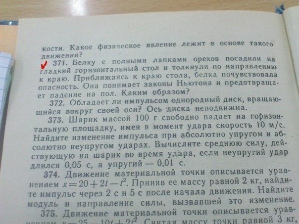 Умная белка!