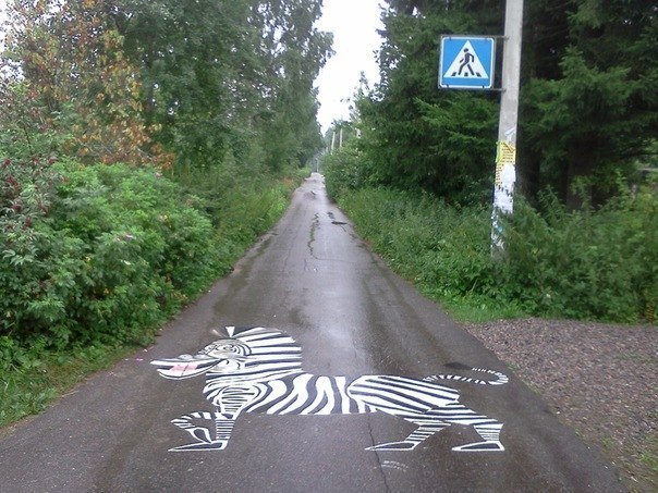 Зебра.