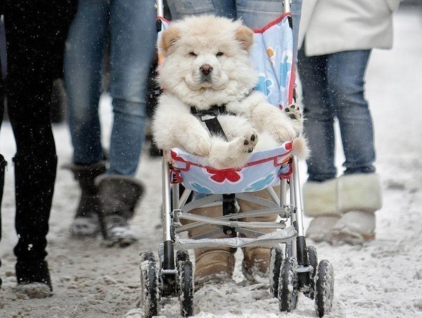 Зима же :)