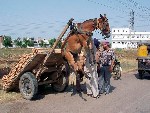 Чуток переборщил)