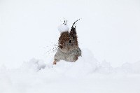 Фотограф - Сергей Клочев