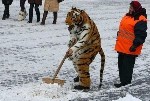 Где-то в России.