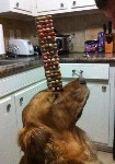 Железная воля.