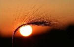 Красота природы