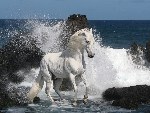 Красота!