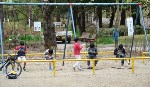 Вышли погулять.